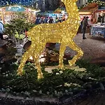 Apartmán Casa Patty